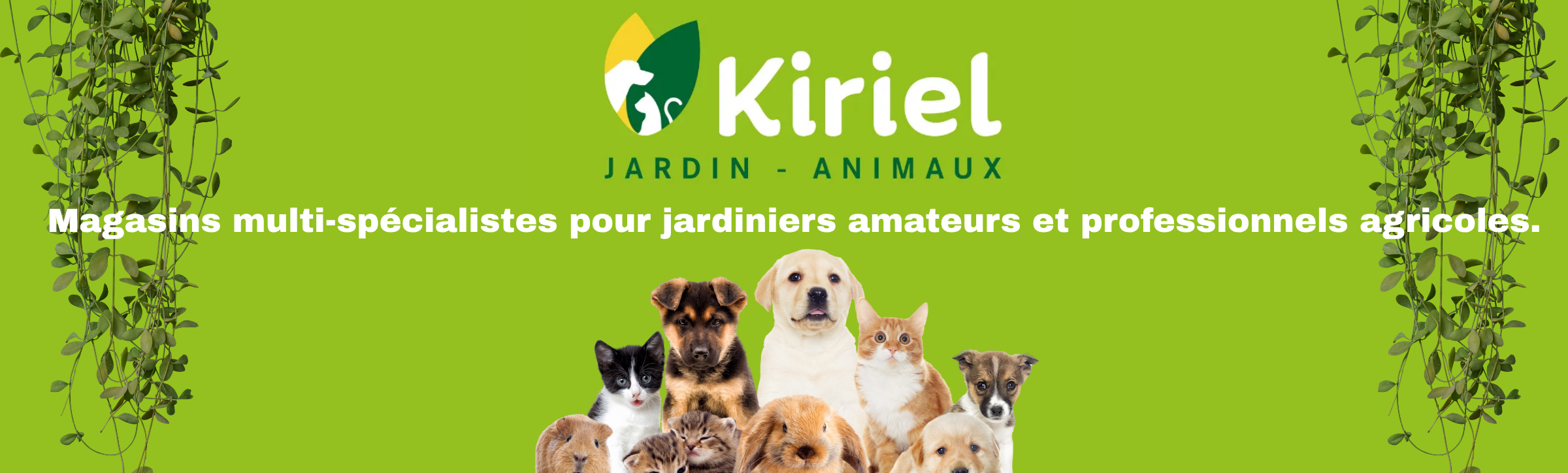 franchise-kiriel
