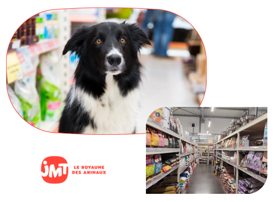 franchise jmt le royaume des animaux