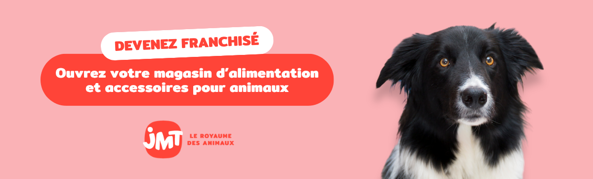 franchise jmt le royaume des animaux