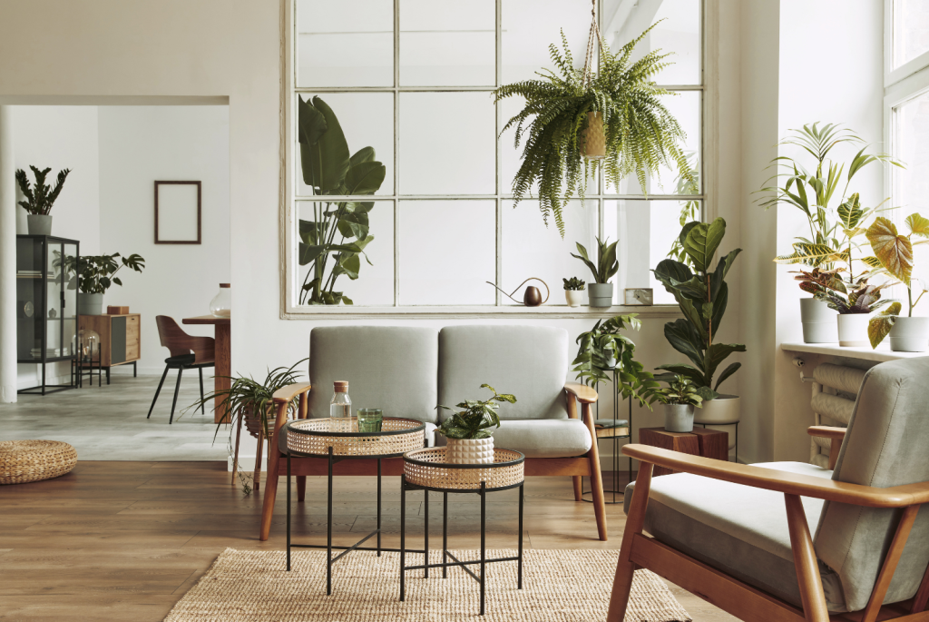 Franchises home staging : comparez l’apport, le CA et l’accompagnement
