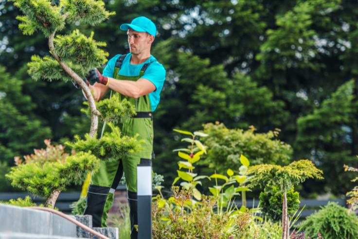 Franchises paysagistes aménagement extérieur : budgets et marges
