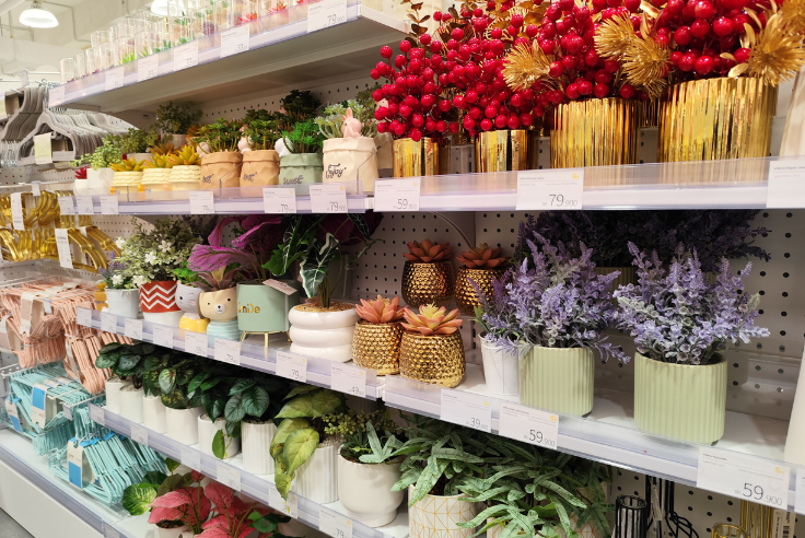 Franchises décoration meuble : apport, budget et CA par réseau